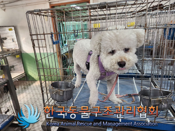 한국동물구조관리협회_411307202300185